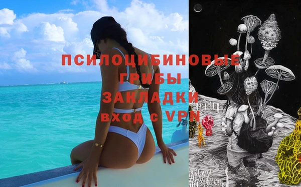 герыч Богородск