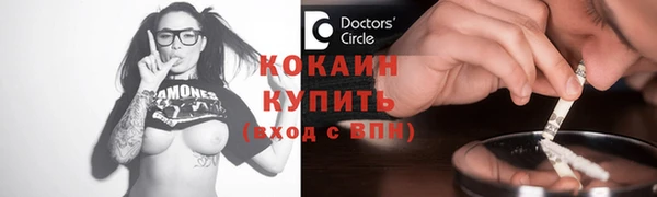 дмт Богородицк