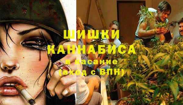 каннабис Богданович