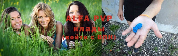 дмт Богородицк