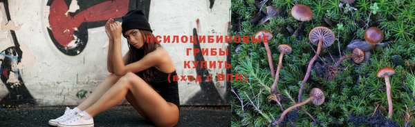 дмт Богородицк