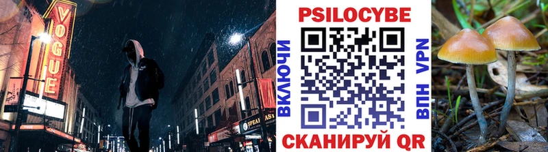 купить наркотик  Хотьково  omg зеркало  Псилоцибиновые грибы ЛСД 